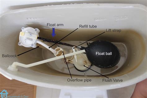 How to Repair Toilet Tank Parts: Save Money and Avoid。